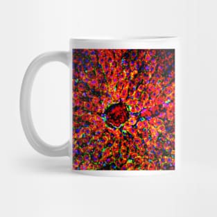 Liver tissue, fluorescence micrograph (C016/8491) Mug